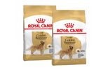 Royal Canin Golden Retriever Adulte Croquettes Chien 2X12 Kg