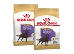 Royal Canin Labrador Adulte StéRilisé Croquettes Chien 2X12 Kg