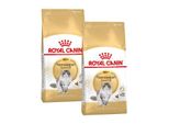 Royal Canin NorvéGien Adulte Croquettes Chat 2X10 Kg