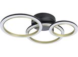 Eglo Led Deckenleuchte "Calliera Deckenlampe - Stahl, Kunststoff - Led - 20W - IP20", Schwarz, Messing, 1, H: 11Cm, 1 Stk., Leuchten, Wohzimmerlampe, Esszimmerlampe, Flur, Schlafzimmer,L49 X B44,5 X H11Cm, Led Deckenleuchte