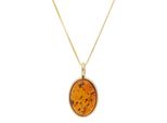 Kette Mit AnhäNger Vivance "Bernstein", Gold (Gelbgold 375), Halsketten, Damen, Gelbgold 375