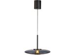 Neuhaus Pure LED Pendelleuchte "Pure E-Vitrum", Platinfarben, 1, Ø 45Cm H: 60Cm, 1 Stk., Leuchten, E-Lift-Funktion, Cct, Dimmbar üBer FernbedíEnung, LED Pendelleuchte