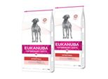 eukanuba Veterinary Diets Intestinal Pour Chiens Adultes 2X12 Kg