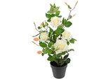 Kunstbaum I.Ge.A. "Rosenbusch Im Topf", Weiß, B:27Cm H:50Cm L:27Cm, Obermaterial: 95% Polyester, 5% Kunststoff, Kunstpflanzen, Kunstrosen Kunstpflanzen Rosenstrauch Deko Hochzeit