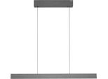 Neuhaus Pure LED Pendelleuchte "Pure E-Motion", Platinfarben, 1, H: 35Cm, 1 Stk., Leuchten, E-Lift Funktion, Cct, Dimmbar, Up-&Downlight, LED Pendelleuchte