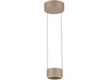 Neuhaus Pure Led Pendelleuchte "Pure Clipse", Bronzefarben, 2, Ø 15Cm H: 40Cm, 1 Stk., Leuchten, Comfort Lift, Cct, Dimmbar üBer Fernbedienung, Led Pendelleuchte