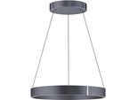 Neuhaus Pure LED Pendelleuchte "Pure E-Clipse", Mystic Grau, 2, Ø 70Cm H: 40Cm, 1 Stk., Leuchten, E-Lift-Funktion, Cct, Dimmbar üBer FernbedíEnung, LED Pendelleuchte