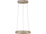 Neuhaus Pure LED Pendelleuchte "Pure E-Loop", Bronzefarben, 2, Ø 50Cm H: 40Cm, 1 Stk., Leuchten, E-Lift Funktion, Cct, Dimmbar üBer Fernbedienung, LED Pendelleuchte