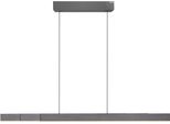 Neuhaus Pure Led Pendelleuchte "Pure Moto-Rise", Grau (Platinfarben), 3, H: 35Cm, 1 Stk., Leuchten, E-Lift Funktion, E-Slide Funktion, Fernbedienung, Led Pendelleuchte