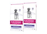 eukanuba Veterinary Diet Croquettes Chien Dermatosis Adulte 2X12 Kg