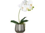 Kunstorchidee Creativ Green "Phalaenopsis", Weiß, H:36Cm, Kunststoff, Kunstpflanzen, Mit Real-Touch-BlüTen