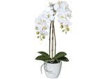 Kunstpflanze Creativ Green "Orchidee Phalaenopsis", Weiß, H:43Cm, Kunststoff, Kunstpflanzen, Kunstpflanze, Im Keramiktopf