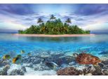 Fototapete Papermoon "Marine Life Maldives", Bunt, B:5M L:2,8M, Vlies, Tapeten