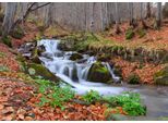 Fototapete Papermoon "Fluss Durch Wald", Bunt, B:4M L:2,6M, Vlies, Tapeten