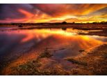 Fototapete Papermoon "Flammender Himmel", Bunt, B:4M L:2,6M, Vlies, Tapeten