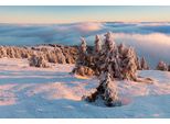 Fototapete Papermoon "Schneelandschaft", Bunt, B:3,5M L:2,6M, Vlies, Tapeten