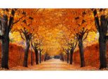 Fototapete Papermoon "Autumn Alley", Bunt, B:5M L:2,8M, Vlies, Tapeten