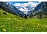 Fototapete Papermoon "Alpen Tirol Gebirge", Bunt, B:5M L:2,8M, Vlies, Tapeten