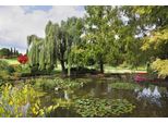 Fototapete papermoon "Teich Mit BäUmen", Bunt, B:4,5M L:2,8M, Vlies, Tapeten