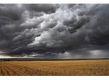 Fototapete Papermoon "Feld Mit Gewitter", Bunt, B:5M L:2,8M, Vlies, Tapeten