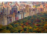 Fototapete Papermoon "Central Park", Bunt, B:5M L:2,8M, Vlies, Tapeten
