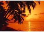 Fototapete Papermoon "Tropic Sunset", Bunt, B:5M L:2,8M, Vlies, Tapeten