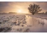 Fototapete papermoon "Winterlandschaft", Bunt, B:4,5M L:2,8M, Vlies, Tapeten
