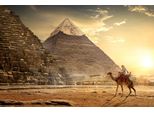 Fototapete Papermoon "Kamel Vor Pyramiden", Bunt, B:4,5M L:2,8M, Vlies, Tapeten