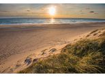 Fototapete Papermoon "Dunes Beach Jutland", Bunt, B:3,5M L:2,6M, Vlies, Tapeten