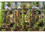 Fototapete Papermoon "Haus Mit Pflanzen", Bunt, B:4,5M L:2,8M, Vlies, Tapeten