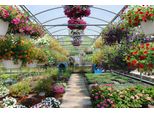 Fototapete Papermoon "Wintergarten", Bunt, B:5M L:2,8M, Vlies, Tapeten