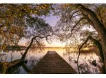 Fototapete Papermoon "Photo-Art Keller, Herbst", Bunt, B:5M L:2,8M, Vlies, Tapeten