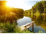 Fototapete papermoon "Summer Forest Lake", Bunt, B:3,5M L:2,6M, Vlies, Tapeten