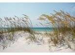 Fototapete Papermoon "Ocean Beach Dunes", Bunt, B:5M L:2,8M, Vlies, Tapeten