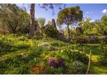 Fototapete Papermoon "Garten", Bunt, B:4,5M L:2,8M, Vlies, Tapeten