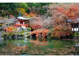 Fototapete Papermoon "Japanischer Garten", Bunt, B:5M L:2,8M, Vlies, Tapeten