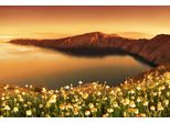 Fototapete papermoon "Blumenwiese Vor Bucht", Bunt, B:5M L:2,8M, Vlies, Tapeten
