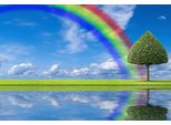 Fototapete Papermoon "Regenbogen Wiese", Bunt, B:5M L:2,8M, Vlies, Tapeten