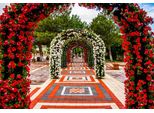 Fototapete Papermoon "BlumenböGen Weg", Bunt, B:4,5M L:2,8M, Vlies, Tapeten