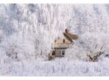 Fototapete Papermoon "Haus In Schneelandschaft", Bunt, B:5M L:2,8M, Vlies, Tapeten