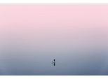Fototapete Papermoon "Ente Im Wasser", Bunt, B:4,5M L:2,8M, Vlies, Tapeten