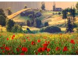 Fototapete Papermoon "Neblige Sommerlandschaft", Bunt, B:5M L:2,8M, Vlies, Tapeten