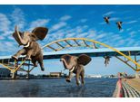 Fototapete Papermoon "Surreale Fliegende Elefanten", Bunt, B:4,5M L:2,8M, Vlies, Tapeten