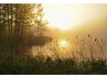 Fototapete Papermoon "Nebelwaldsee", Bunt, B:3,5M L:2,6M, Vlies, Tapeten