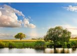 Fototapete Papermoon "River Tree Landscape", Bunt, B:5M L:2,8M, Vlies, Tapeten
