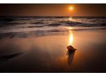 Fototapete Papermoon "Tropischer Strand Sonnenuntergang", Bunt, B:4,5M L:2,8M, Vlies, Tapeten