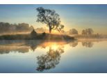 Fototapete Papermoon "Photo-Art Keller, Morgenreflexion", Bunt, B:4M L:2,6M, Vlies, Tapeten