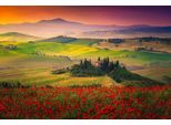 Fototapete Papermoon "Blumenwiese In Landschaft", Bunt, B:3,5M L:2,6M, Vlies, Tapeten