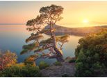 Fototapete Papermoon "Tree Mountain Sunset", Bunt, B:5M L:2,8M, Vlies, Tapeten