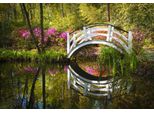 Fototapete Papermoon "BrüCke Im Park", Bunt, B:4,5M L:2,8M, Vlies, Tapeten